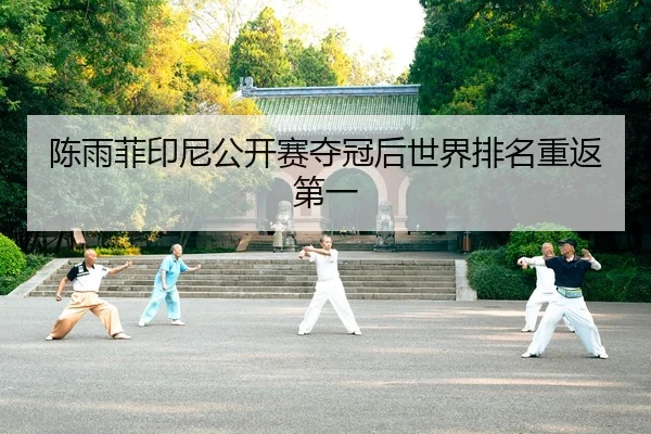 陈雨菲印尼公开赛夺冠后世界排名重返第一